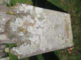 image of grave number 883683